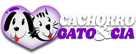 Cachorro Gato e Cia